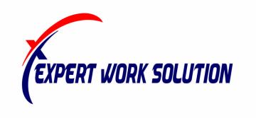 EXPERT WORK SOLUTION SRL